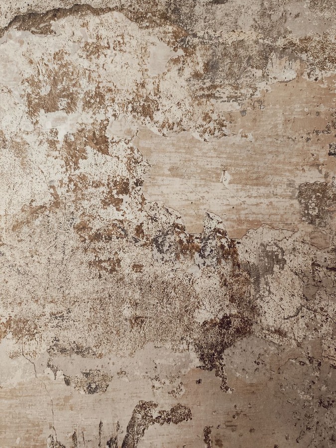 Weathered lime plaster wall texture with sun-washed finish